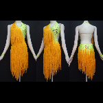 Latin Performance Costume